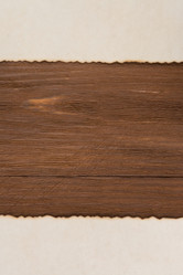 Similar image 20229053