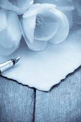 Similar image 20229295