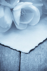 Similar image 20229475