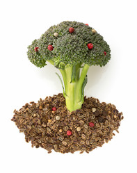 Similar image 20230591