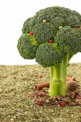 Similar image 20230700