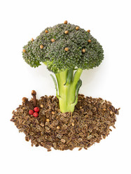 Similar image 20230734