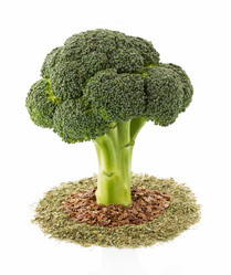 Similar image 20230753