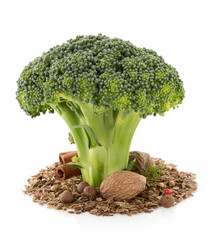 Similar image 20229314