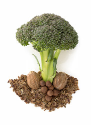 Similar image 20229756