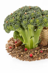 Similar image 20229726