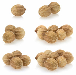 Similar image 20229835