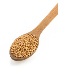 Similar image 20230365