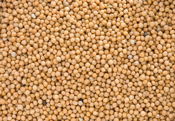 Similar image 20230369