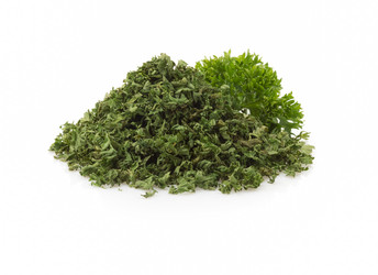 Similar image 20230575