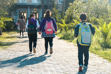 Similar image 20298058