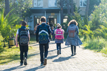 Similar image 20298061