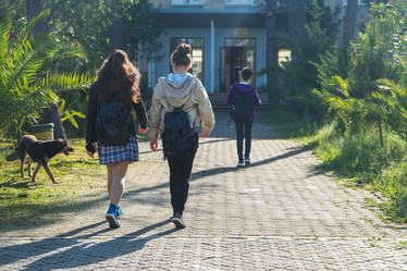 Similar image 20298075