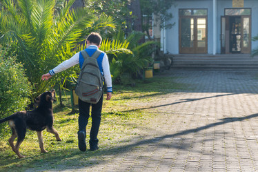 Similar image 20298099