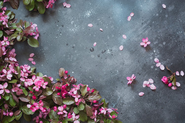 Similar image 20231461