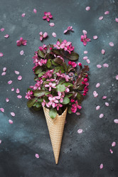 Similar image 20231458