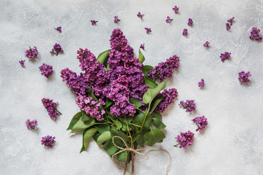 Similar image 20231522