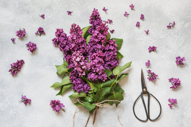 Similar image 20231524