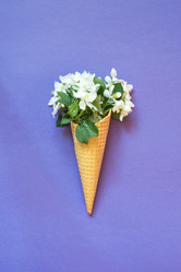 Similar image 20231531