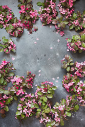 Similar image 20231494