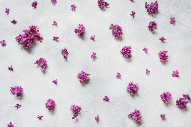 Similar image 20231509