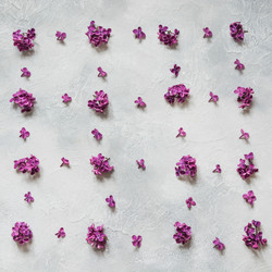 Similar image 20231510