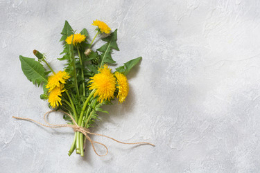 Similar image 20231534