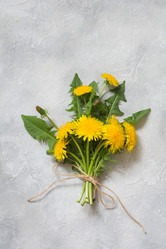 Similar image 20231546