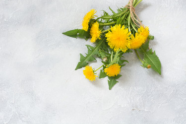 Similar image 20231548