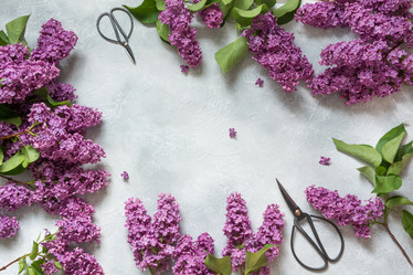 Similar image 20231500