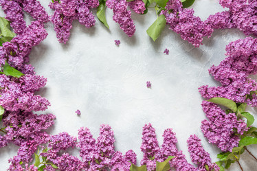 Similar image 20231502