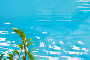 Similar image 20231554