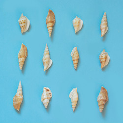 Similar image 20231557