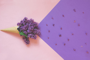 Similar image 20231591