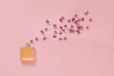 Similar image 20231593