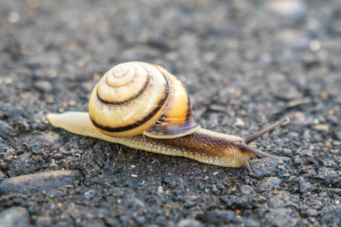 Similar image 20297923