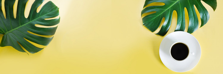 Similar image 20231566