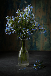 Similar image 20226009