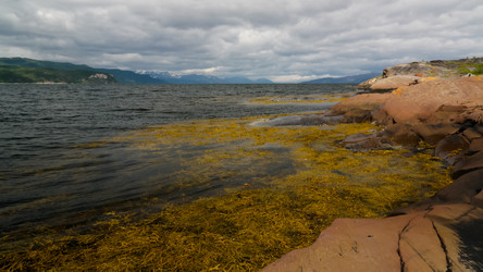 Similar image 20234585