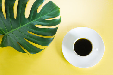 Similar image 20231544