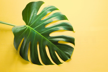 Similar image 20231551