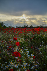 Similar image 20232717