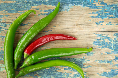 Similar image 20226015