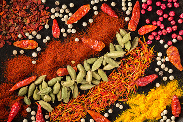 Similar image 20226036