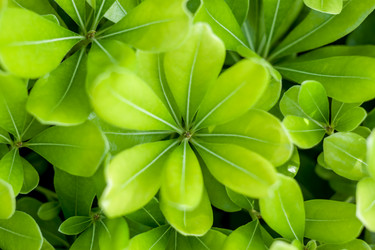 Similar image 20227739