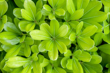 Similar image 20227740