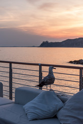 Similar image 20227761