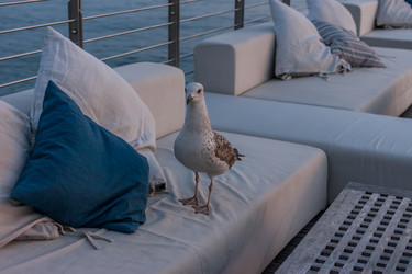 Similar image 20227781