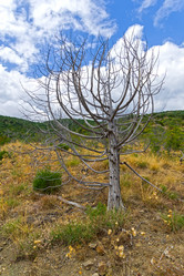 Similar image 20232754