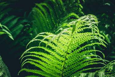 Similar image 20231653